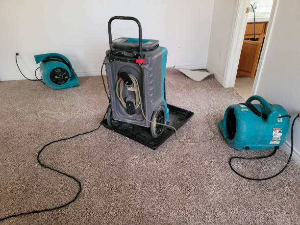 Best Flooded house restoration  in Huntsville, MO