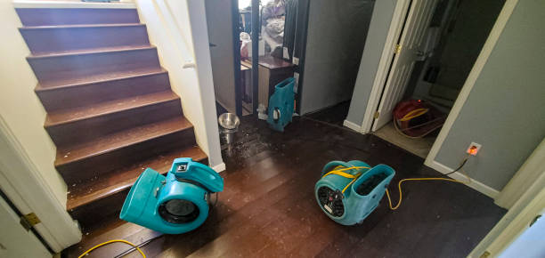 Best 24/7 water damage repair  in Huntsville, MO