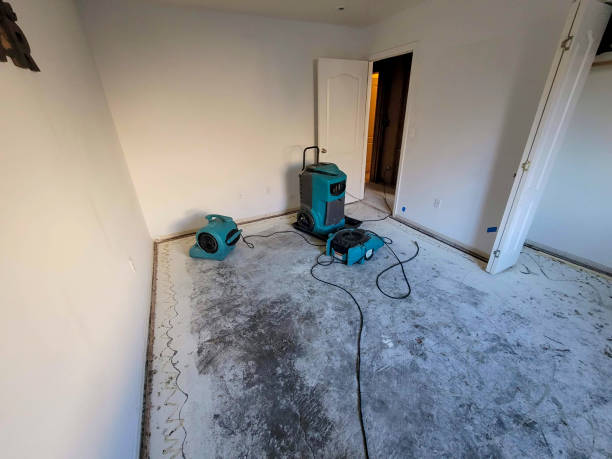Water damage restoration mold remediation in Huntsville, MO