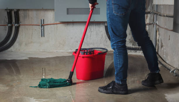 Best Fire Damage Restoration  in Huntsville, MO