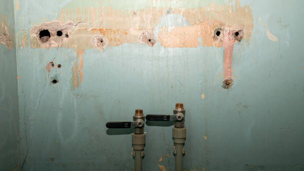 Best Commercial water damage restoration  in Huntsville, MO