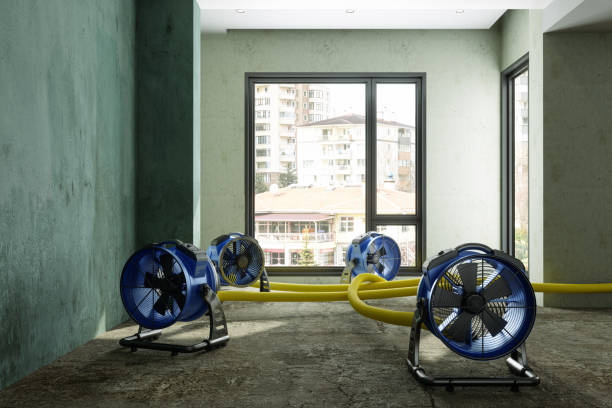 Water damage restoration experts in Huntsville, MO