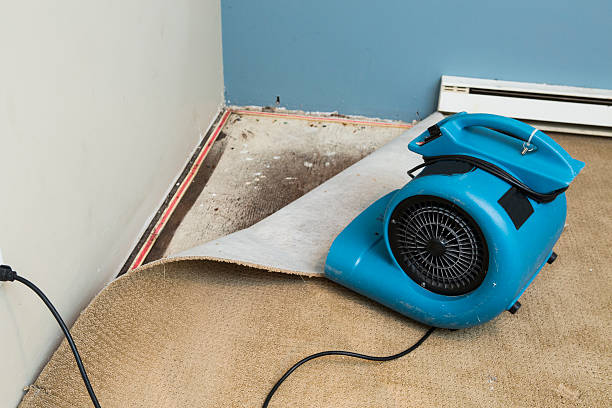 Best Carpet water damage restoration  in Huntsville, MO